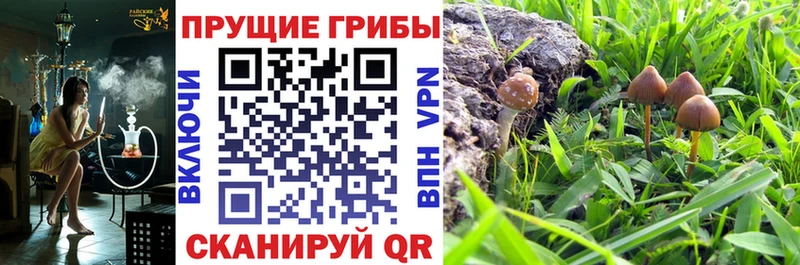 Галлюциногенные грибы ЛСД Тихорецк