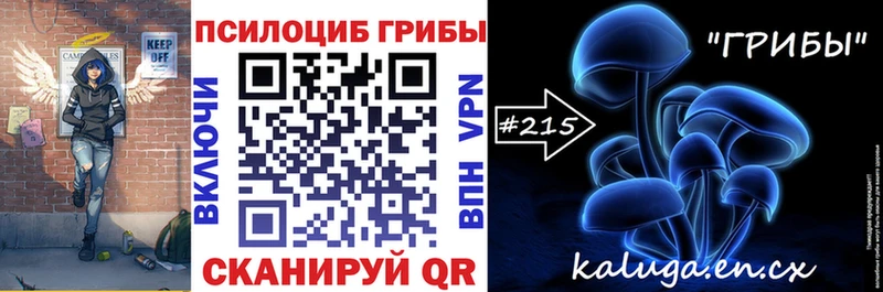 mega маркетплейс  наркота  Тихорецк  Псилоцибиновые грибы Psilocybe 