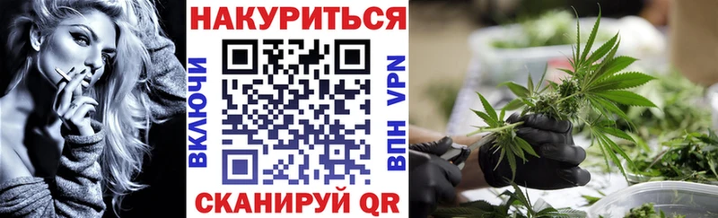 наркота  Тихорецк  Канабис Amnesia 
